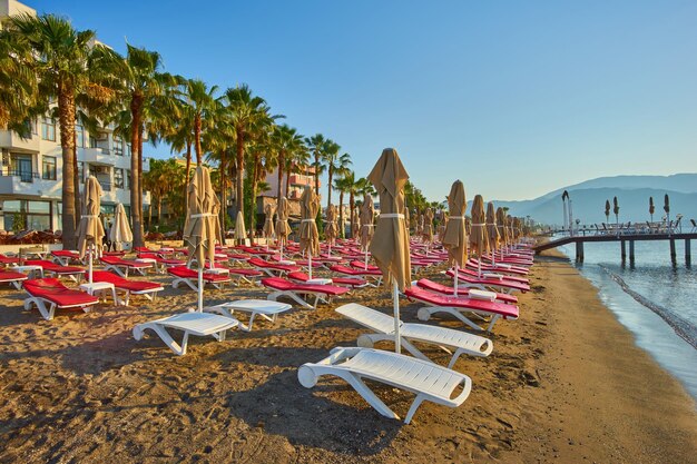 Sandy beach without people and with sun loungers umbrellas palm trees Marmaris