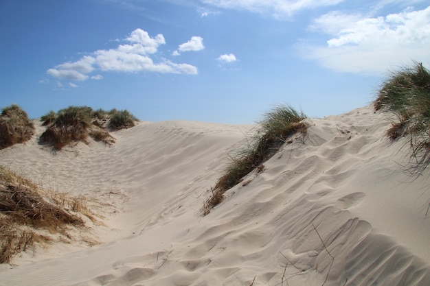 デンマーク、ラブジャーグマイルの真っ青な空の下の砂丘