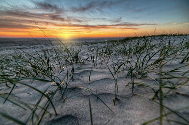 Песчаный берег, покрытый травой, в окружении моря во время красивого заката