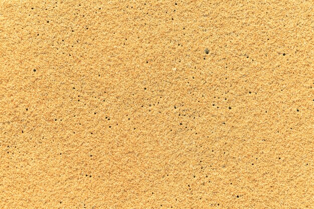 砂の表面パターンの休暇海