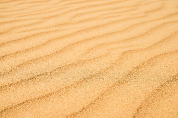 ビーチ、黒い海岸の砂のテクスチャ。夏のバナーの背景の抽象的なビーチ砂丘の上面図。