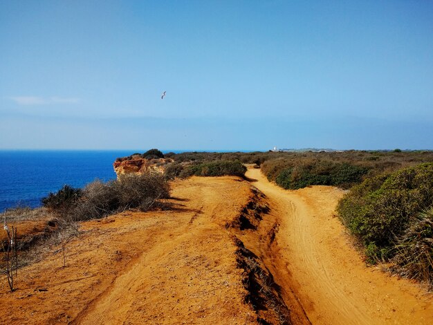 Sandy walkway next to bushes leading to a cliff next to a beach in Cádiz, Spain