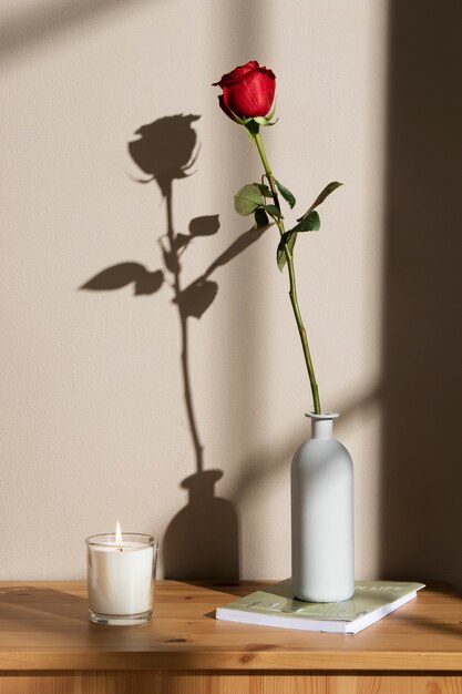 Sant jordi celebration with rose and book