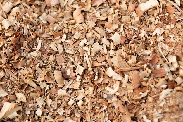 Sawdust Free Vectors Stock Photos Psd