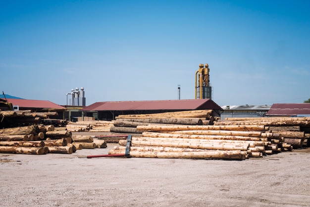 Sawmill factory for lumber planks production