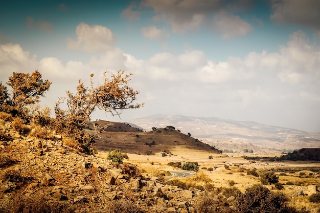 Scant and dry rocky mediterranean landscape