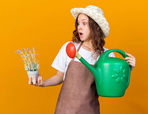 Scared young female gardener wearing gardening hat holding watering can and looking at flower in flowerpot in her hand 