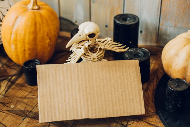 Free photo scary skeleton bird with cardboard