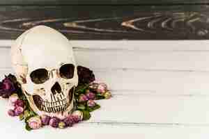 Free photo scary skull and lilac flowers