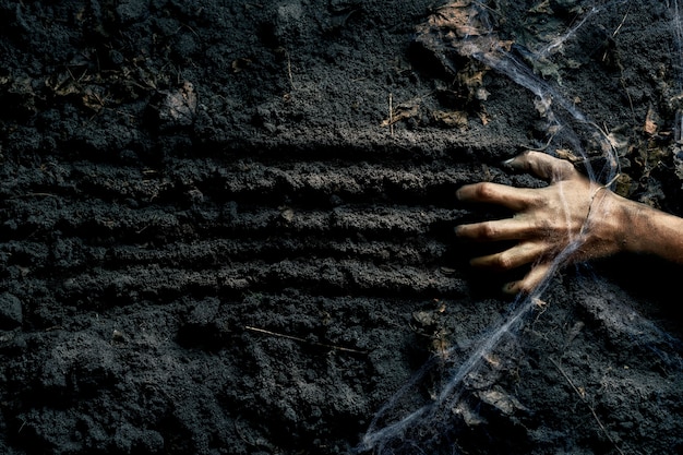 Бесплатное фото Страшная рука зомби на земле