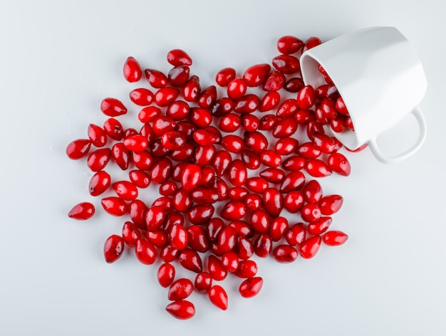 Scattered cornel berries from a cup on white