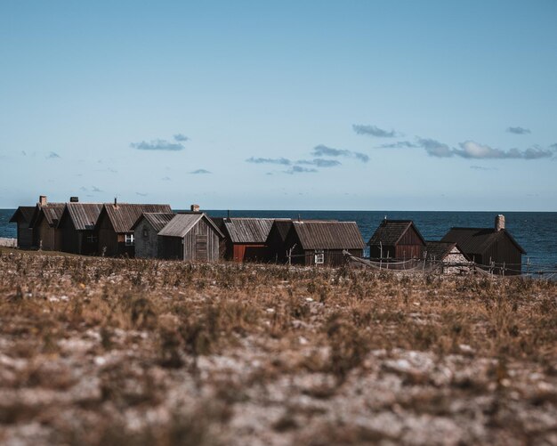 Сцена солнечной земли, деревьев, домов, синей морской воды и голубого неба на горизонте в Готланде, Швеция