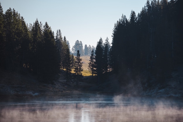 Scenery of a frozen lake surrounded by a forest