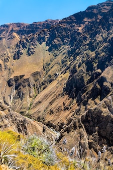 Пейзажи каньона колка в перу, одного из самых глубоких каньонов в мире.