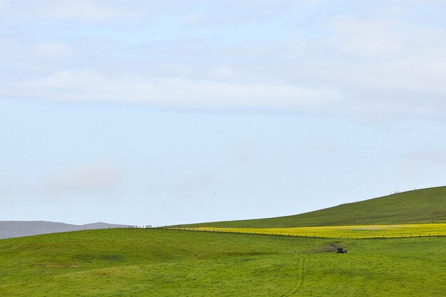 Scenery of a rolling ranch land under the clear sky in Petaluma, California, USA