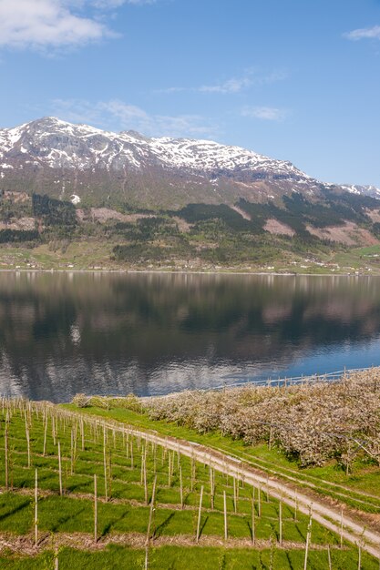 ノルウェーのフィヨルドの風光明媚な風景。