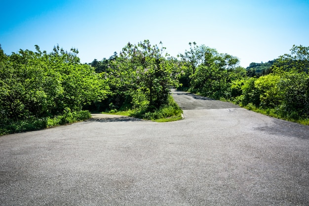 無料写真 美しい山道