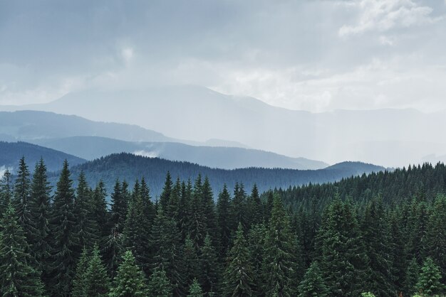 雨上がりの風光明媚な山の風景。ウクライナのカルパティア山脈。