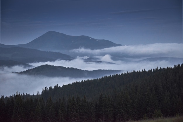 雨上がりの風光明媚な山の風景。ウクライナのカルパティア山脈。