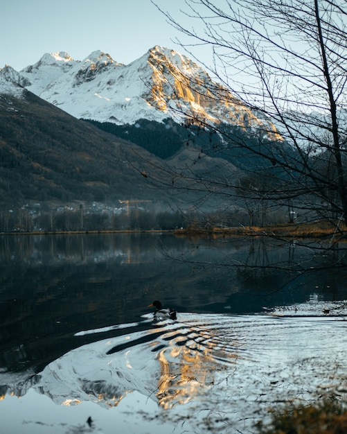 無料写真 アヒルの泳ぎと山岳アルプスの美しい湖の垂直