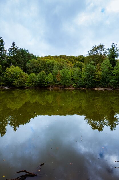 湖畔に沿って色とりどりの秋の木の風光明媚な景色