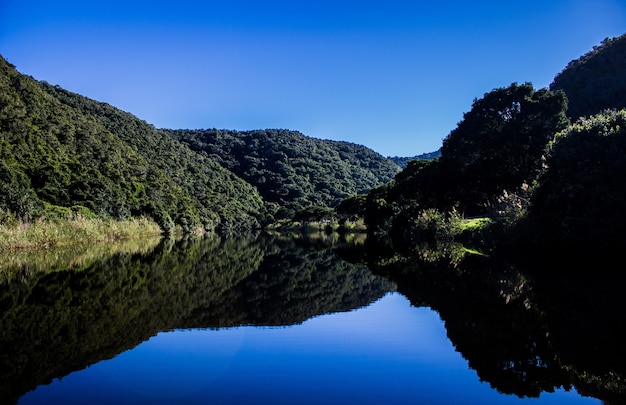 緑に覆われた山々と澄んだ湖の美しい景色