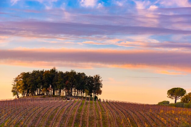 Scenic view of the idyllic and colorful Tuscan countryside in autumn at sunset