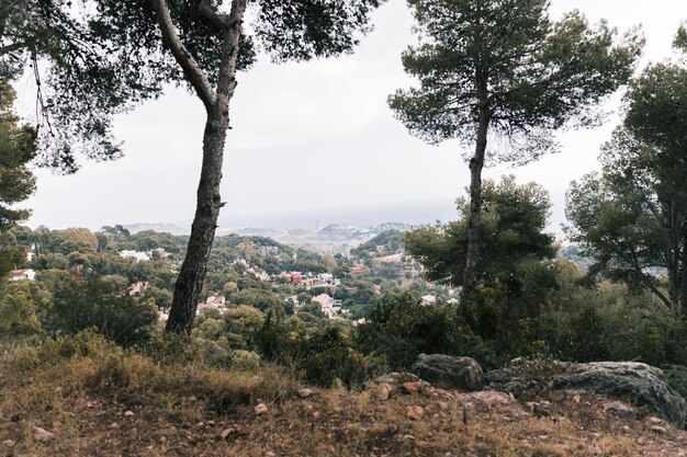 산과 집의 경치를 볼