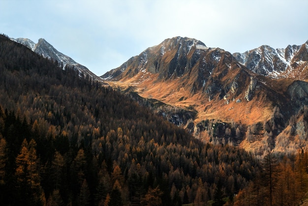 Free photo scenic view of the mountains