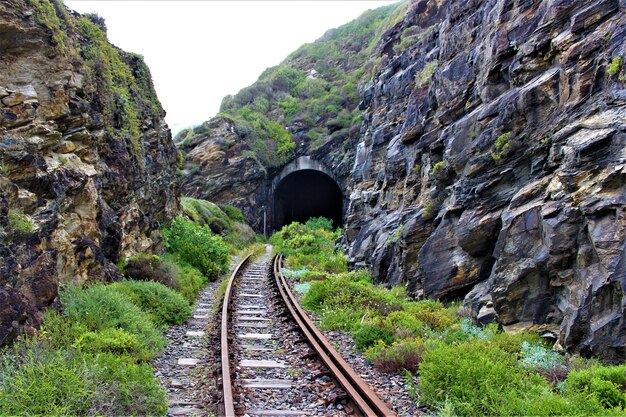 Scenic view of a railway to tunnel through the green-covered rocks