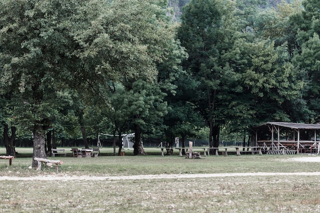 公園内の木々の景観