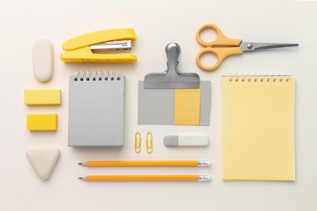 School items assortment above view