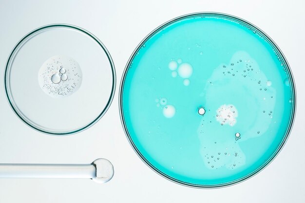 Science background experiment wallpaper, petri dishes flat lay