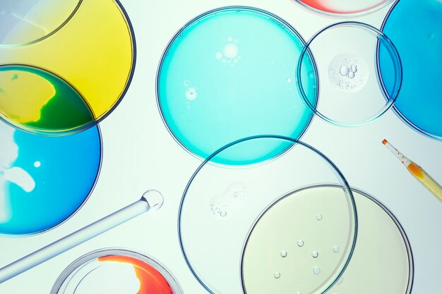 Science background wallpaper, petri dishes flat lay