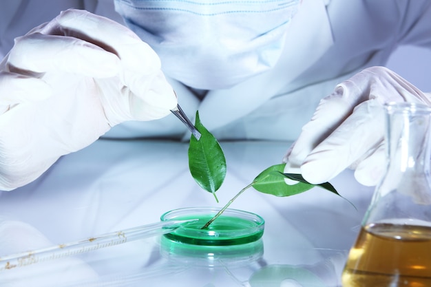 Free photo science experiment with plant