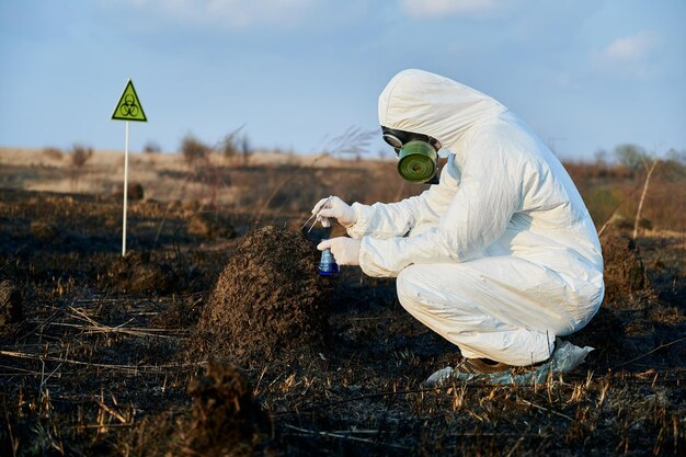 Scientist exploring flora and soil at burnt field