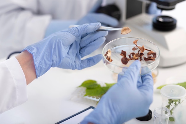 Scientist holding petri dish close up