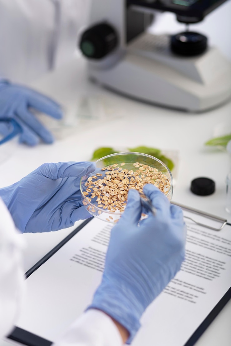 Free Photo scientist holding petri dish and tweezers