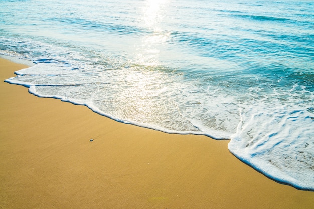 無料写真 海のビーチの波