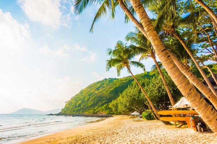 Free Photo sea and beach