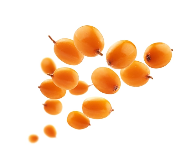 Free photo sea buckthorn berries levitate on a white background