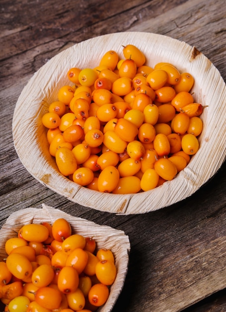 Sea buckthorn