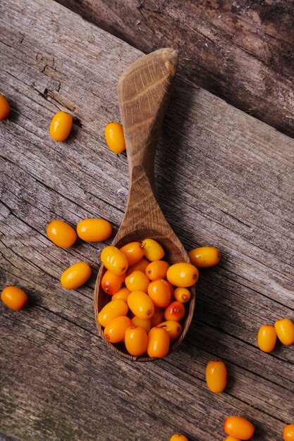 Sea buckthorn