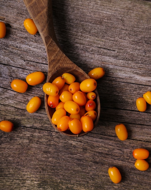 Free photo sea buckthorn