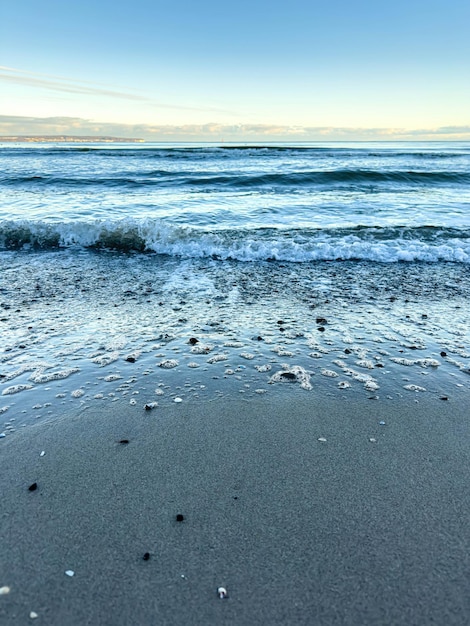 Free photo sea coast with seashells and texture waves sea lanscape