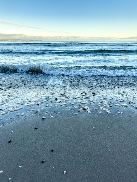 Sea coast with seashells and texture waves sea lanscape