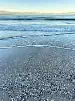 Foto gratuita costa del mare con conchiglie e paesaggio marino onde texture