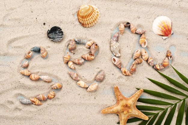 Sea message formed of shellfish