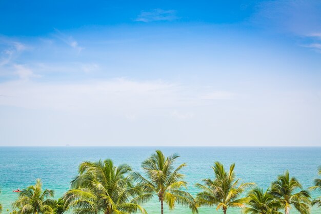 Море видно из выше с пальмами