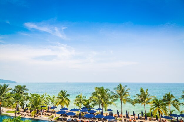 Sea seen from above with palm trees